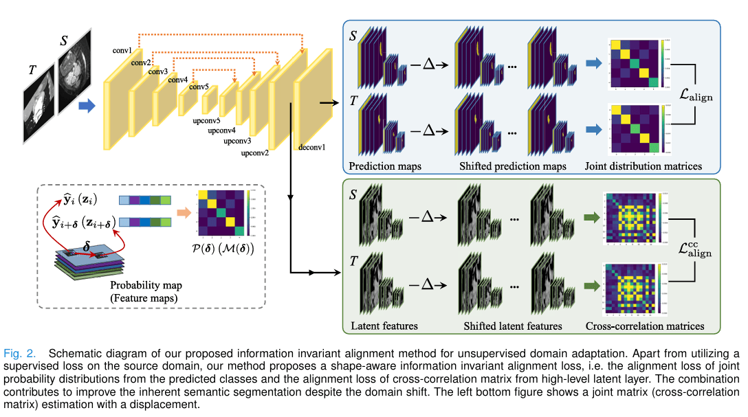 Shape-Aware Joint Distribution Alignment for Cross-Domain Image Segmentation